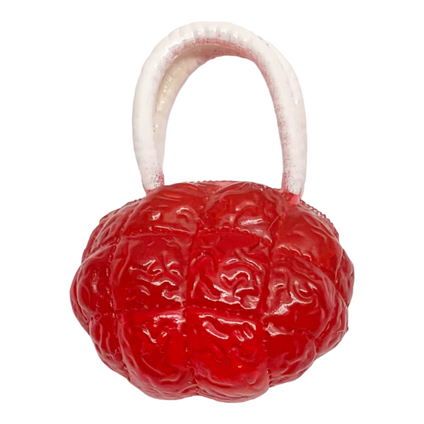 Monster High Ghoulia Yelps Gloom Beach Doll Replacement Red Brain Purse