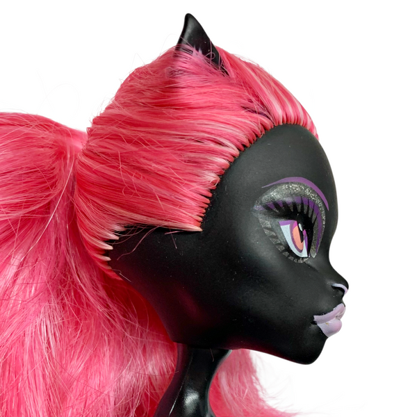Monster High Catty Noir Geek Shriek Black Cat Doll With Arms