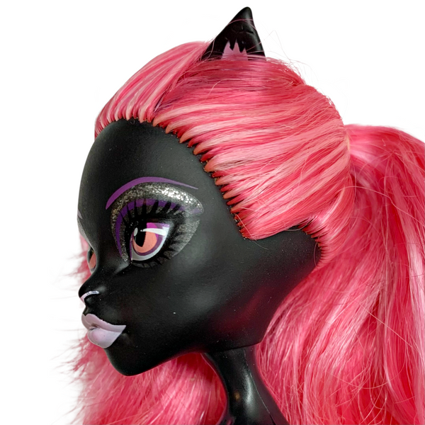 Monster High Catty Noir Geek Shriek Black Cat Doll With Arms