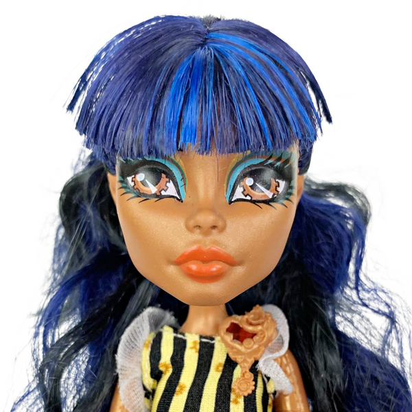 Monster High Robecca Steam Coffin Bean Doll With Outfit