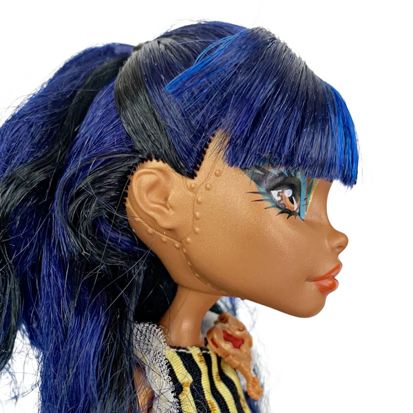 Monster High Robecca Steam Coffin Bean Doll With Outfit