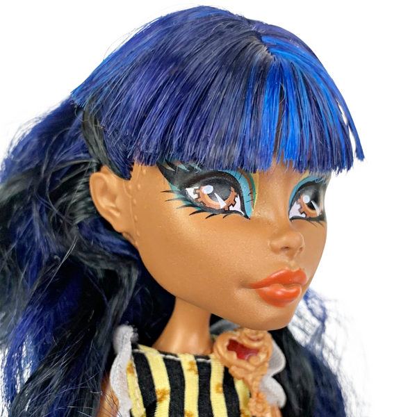 Monster High Robecca Steam Coffin Bean Doll With Outfit