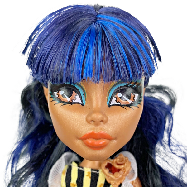 Monster High Robecca Steam Coffin Bean Doll With Outfit