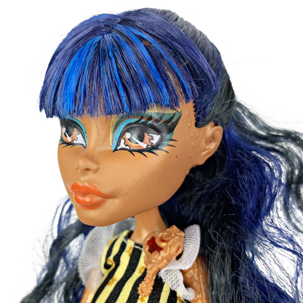 Monster High Robecca Steam Coffin Bean Doll With Outfit