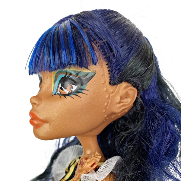 Monster High Robecca Steam Coffin Bean Doll With Outfit