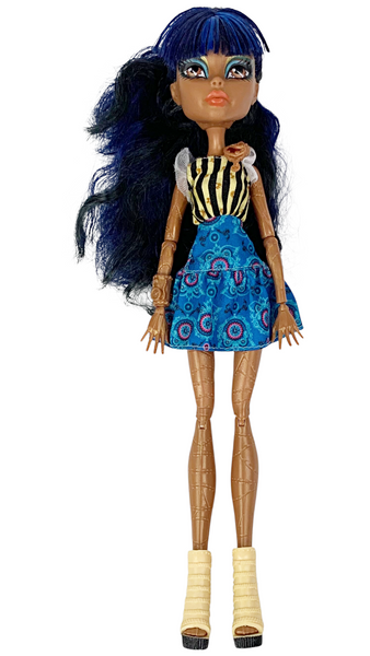 Monster High Robecca Steam Coffin Bean Doll With Outfit
