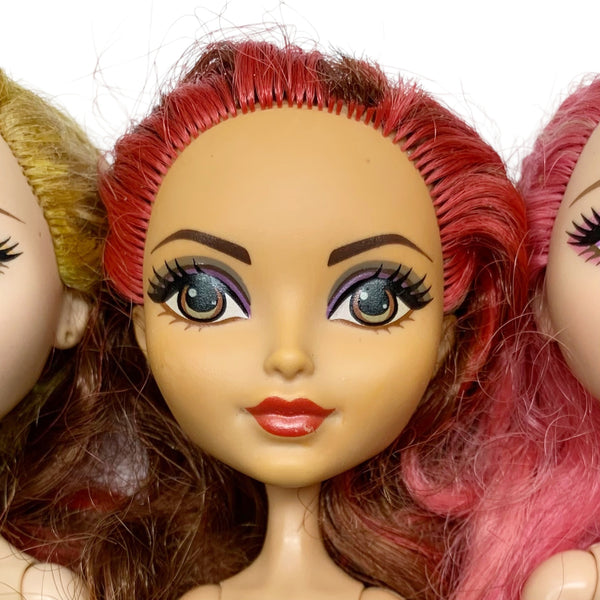 Ever After High 4x TLC Dolls Bundle Lot #6 Briar C.A. Cupid Apple Rosabella For Parts Or OOAK