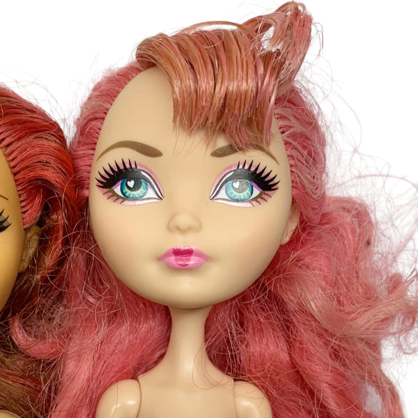 Ever After High 4x TLC Dolls Bundle Lot #6 Briar C.A. Cupid Apple Rosabella For Parts Or OOAK