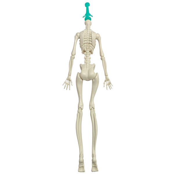 Monster High Skelita Calaveras Scaris Doll Replacement Skeleton Body Part