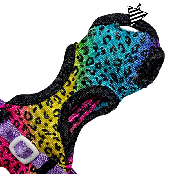 Monster High Clawdeen Wolf Gloom Beach Doll Outfit Replacement Swimsuit