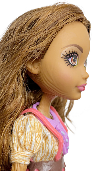 Ever After High Cedar Wood Sugar Coated Doll With Outfit