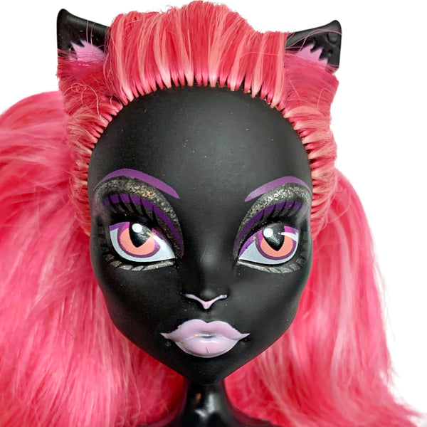 Monster High Catty Noir Geek Shriek Black Cat Doll With Arms