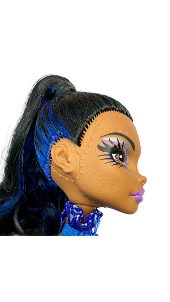 Monster High Robecca Steam Doll & Deluxe Fashion Pack Dress Outfit Bundle Lot