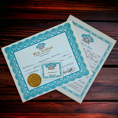 Cabbage Patch Kids Aquamarine Birth Certificate & Name Tag Lot Savannah KPO 1737