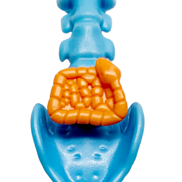 Monster High Inner Monster Fearfully Feisty Doll Replacement Snake Intestine Emoticon Part