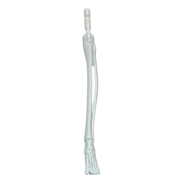 Monster High Create A Monster Skeleton Doll Replacement Left Lower Leg Part