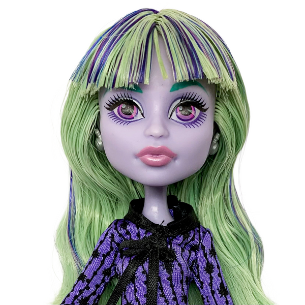 Monster High 13 Wishes Twyla Boogeyman Doll With Pet & Diary