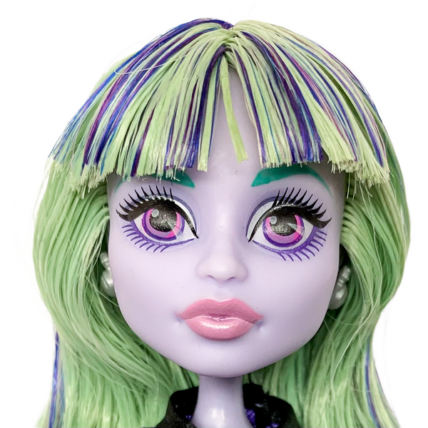 Monster High 13 Wishes Twyla Boogeyman Doll With Pet & Diary