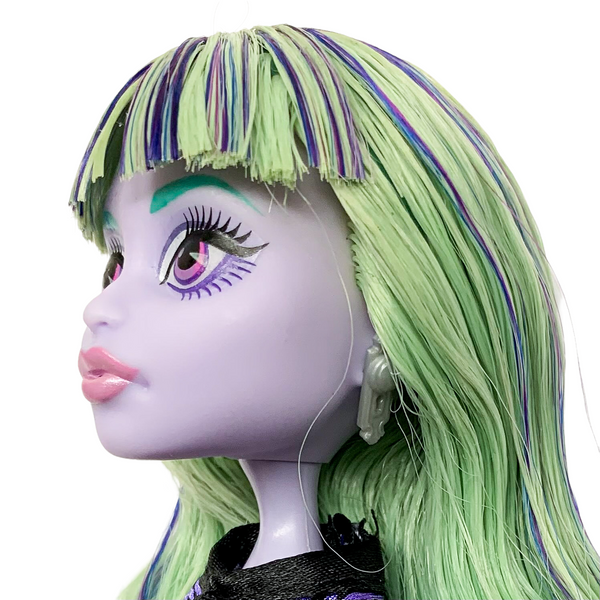 Monster High 13 Wishes Twyla Boogeyman Doll With Pet & Diary